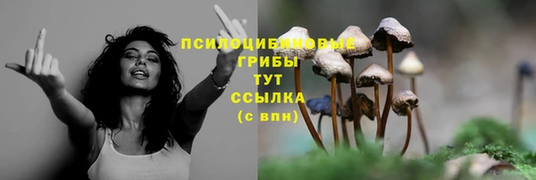 марки nbome Гусев